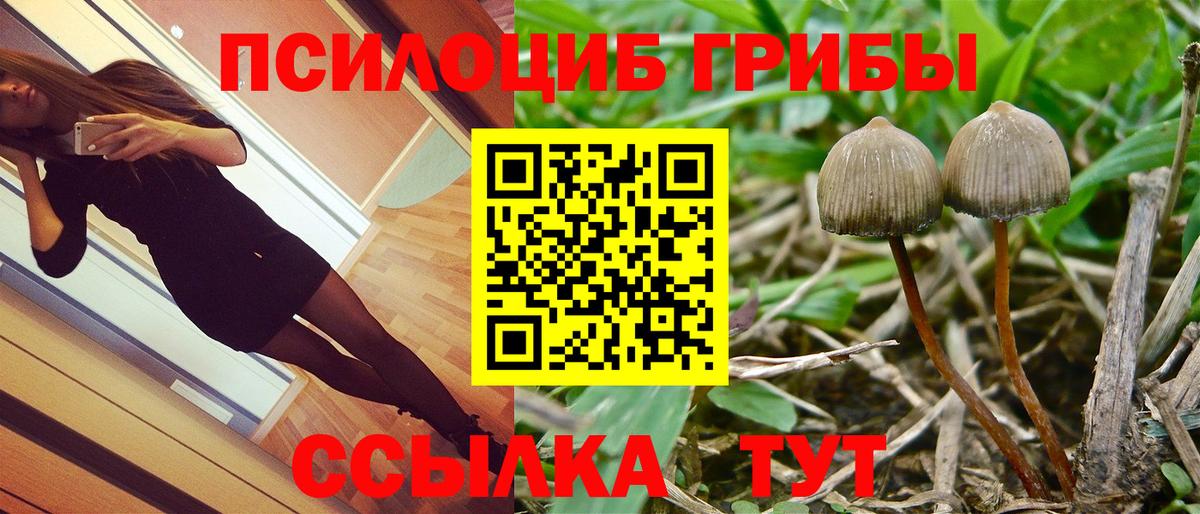 Томск  Галлюциногенные грибы мицелий  закладки  Вход с VPN 