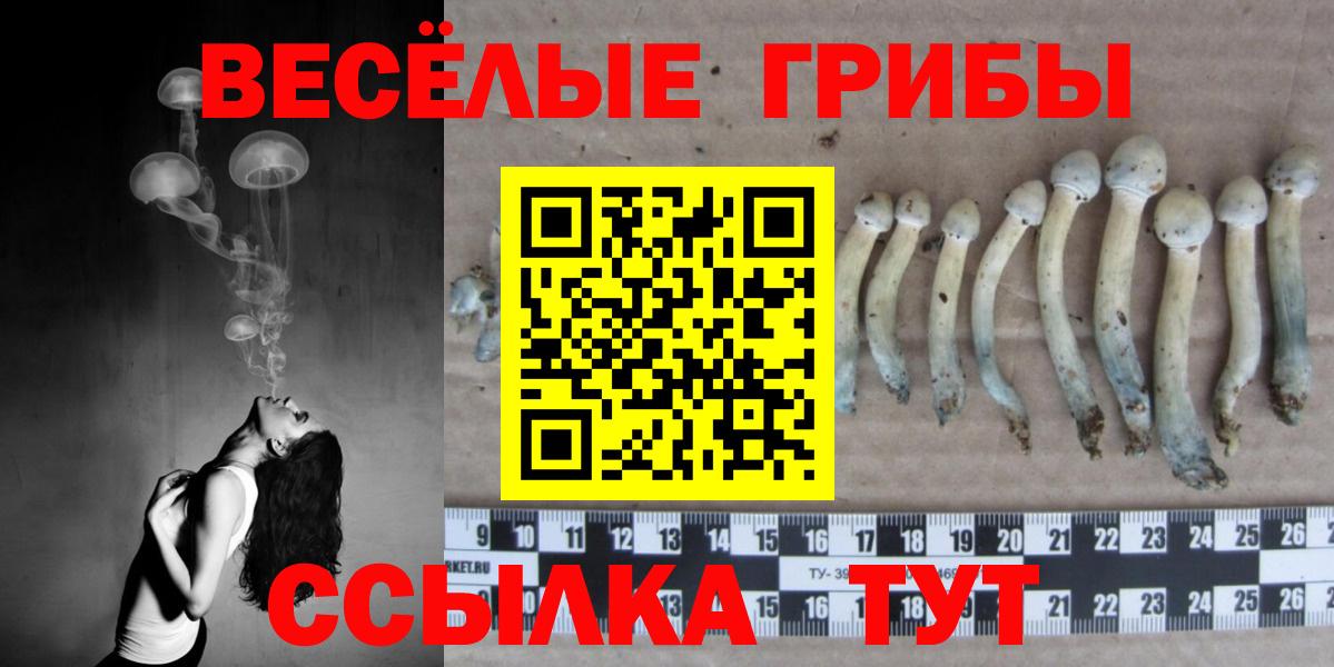 Галлюциногенные грибы MAGIC MUSHROOMS Томск
