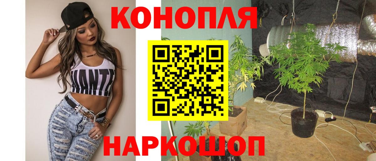 Канабис планчик Томск